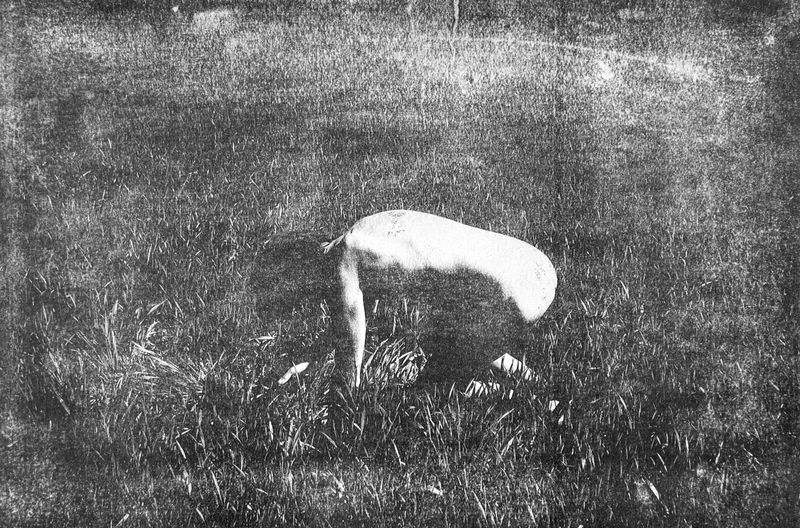 © Ayline Olukman - Image from the tell me about the immense sea photography project