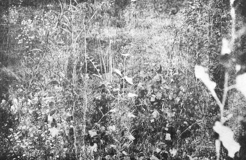 © Ayline Olukman - Image from the tell me about the immense sea photography project