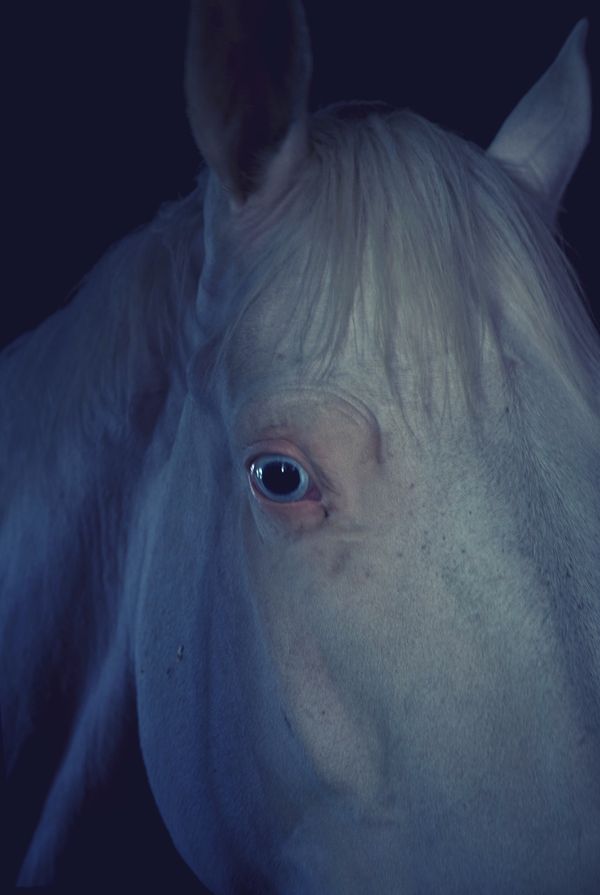 © Ayline Olukman - Image from the Psyche photography project