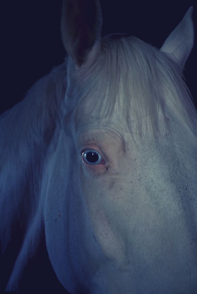 © Ayline Olukman - Image from the Psyche photography project