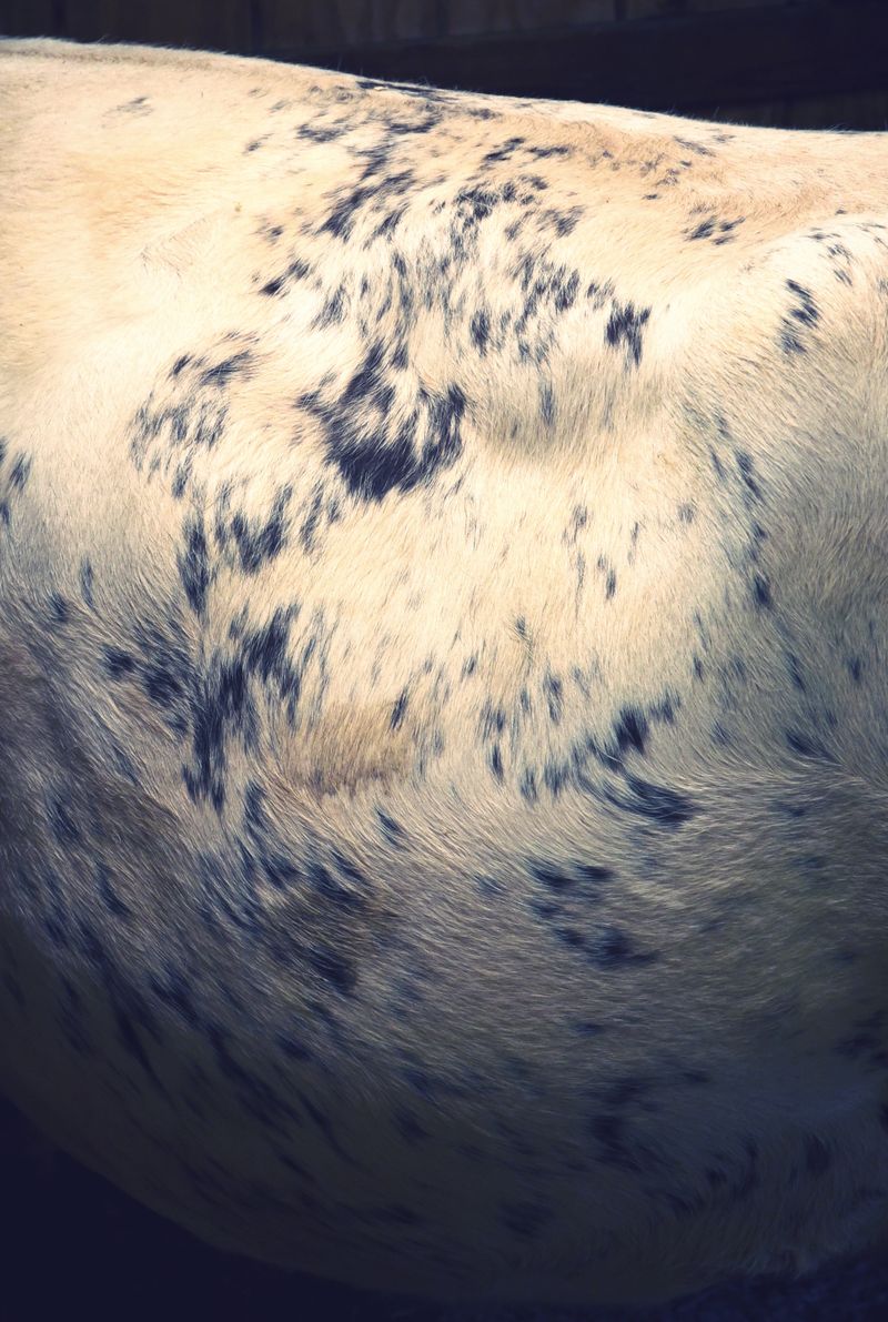 © Ayline Olukman - Image from the Psyche photography project