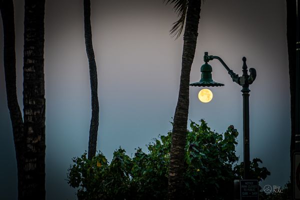 © Big NAC - Image from the I’m Here photography project