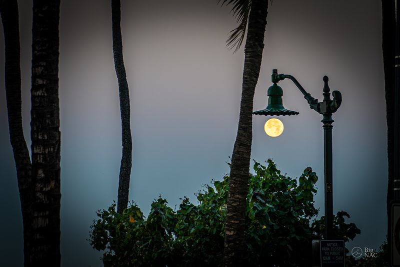 © Big NAC - Image from the I’m Here photography project