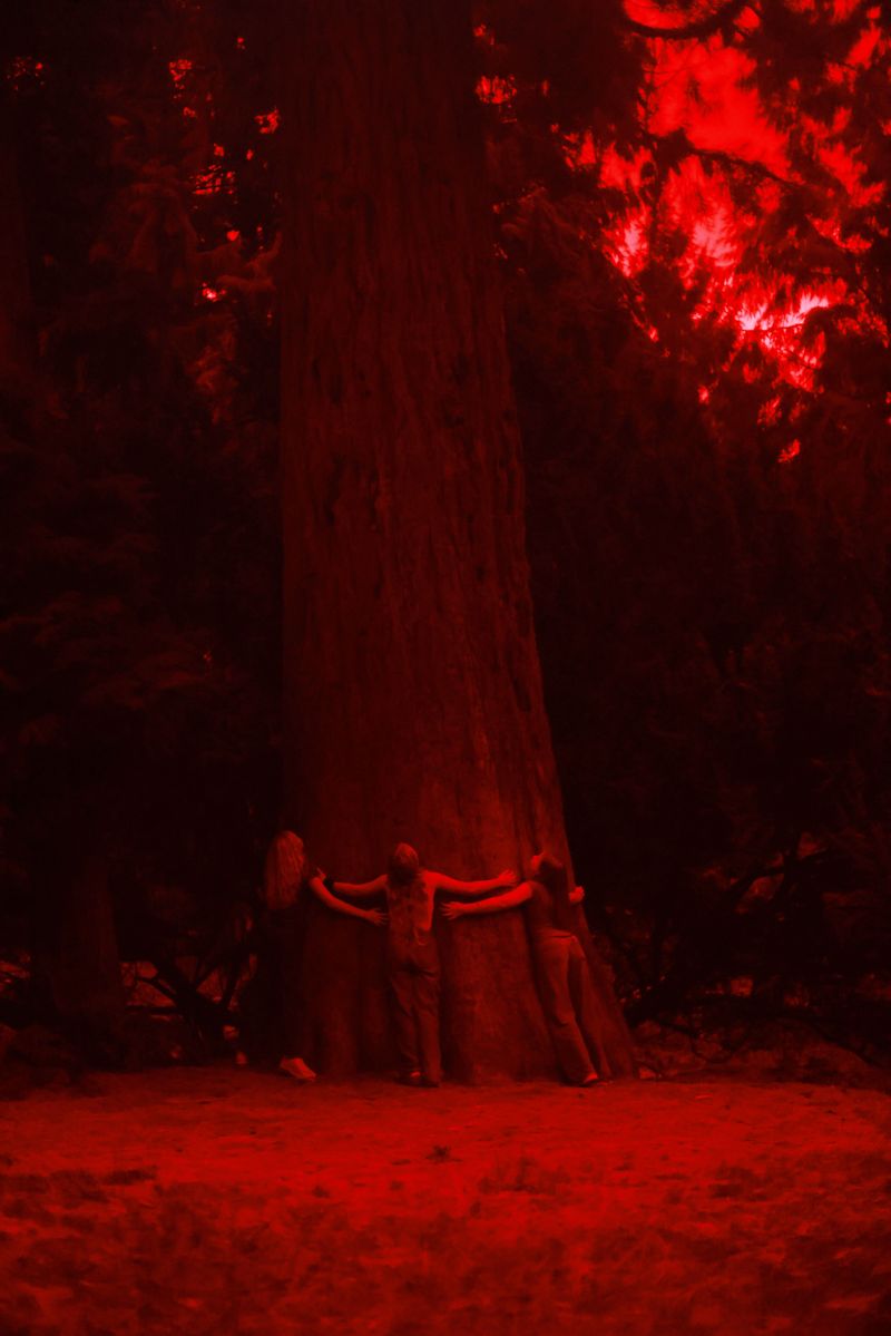 © Elvira Lutsenko - Image from the Redline photography project