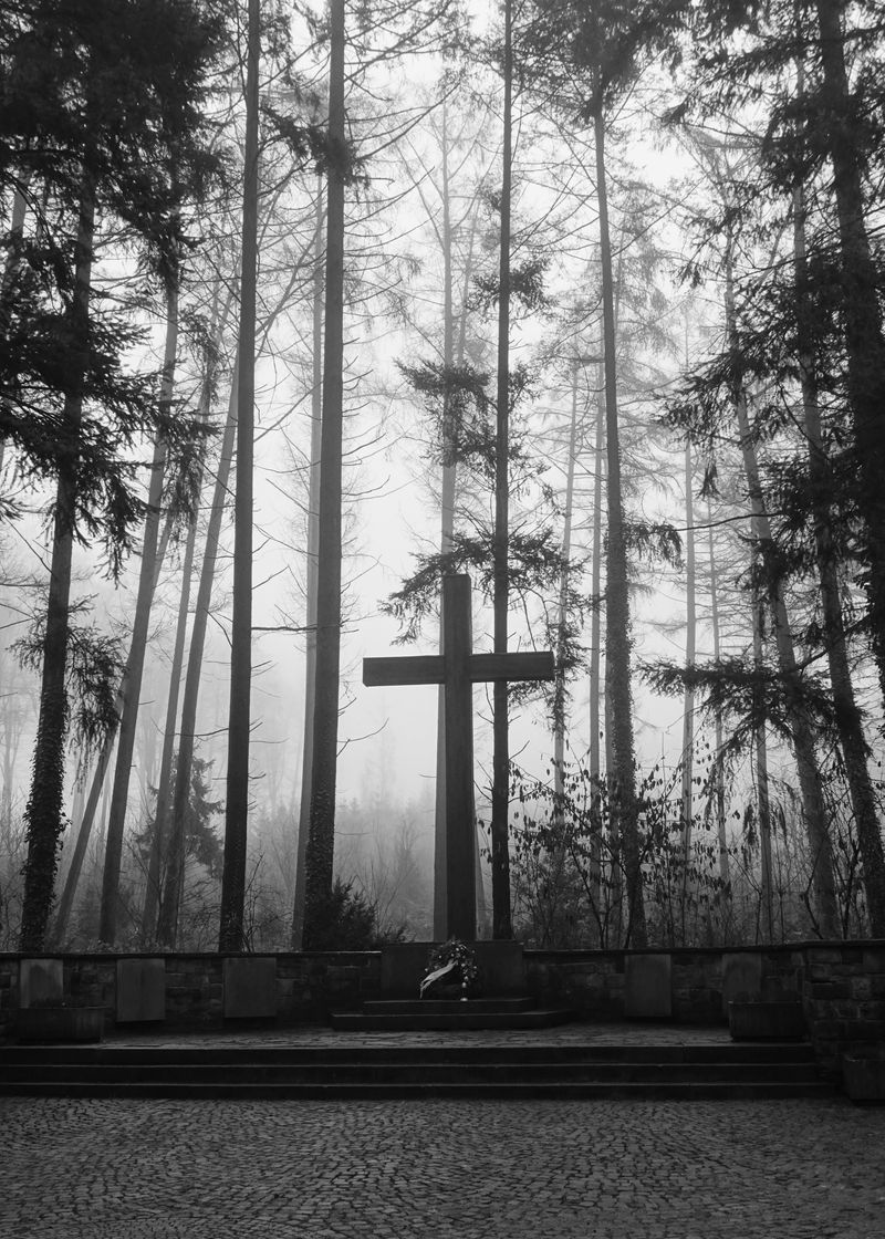 © Elvira Lutsenko - Image from the Home photography project