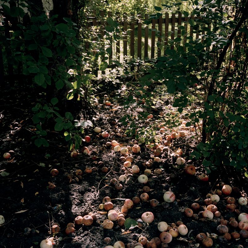 © Selina Disera - Image from the Morning Dew For Evening's Tears photography project