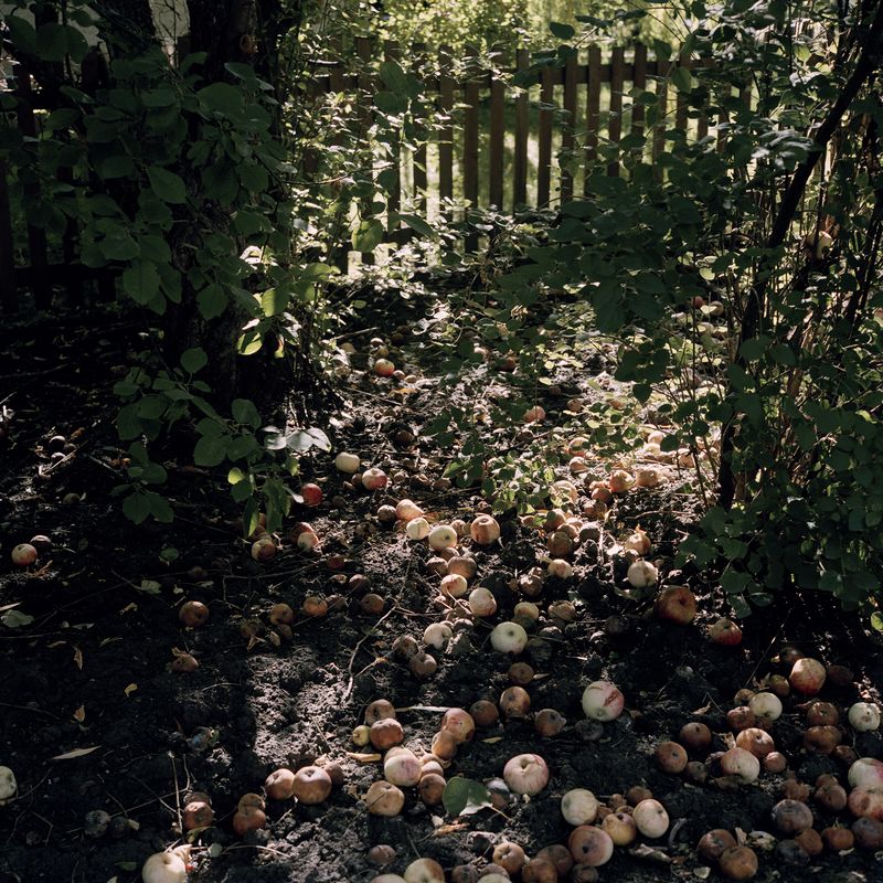 © Selina Disera - Image from the Morning Dew For Evening's Tears photography project