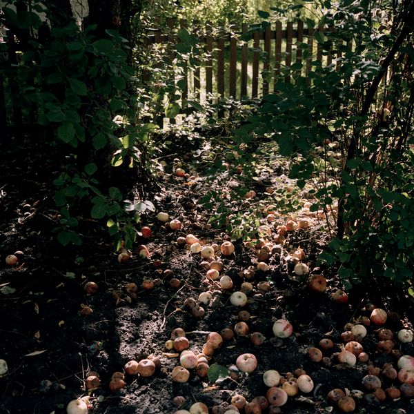 © Selina Disera - Image from the Morning Dew For Evening's Tears photography project