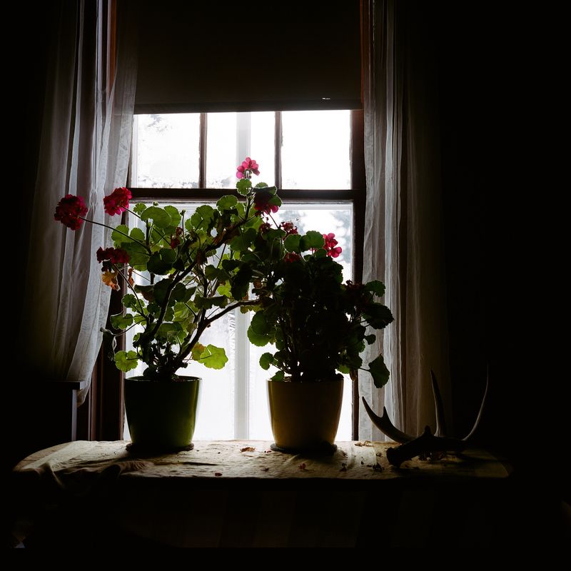 © Selina Disera - Image from the Morning Dew For Evening's Tears photography project