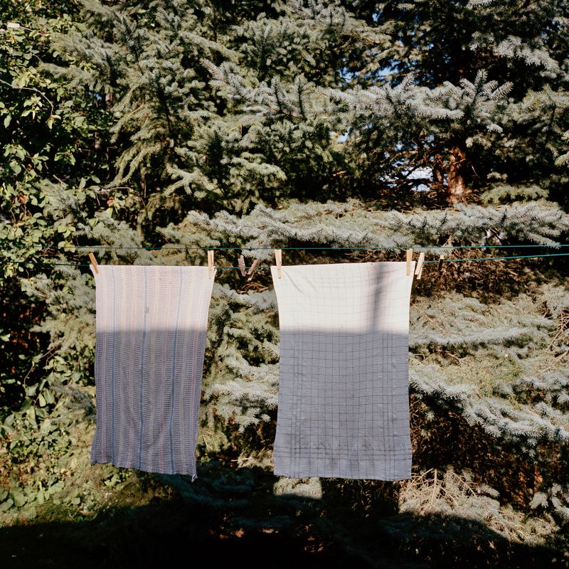 © Selina Disera - Image from the Morning Dew For Evening's Tears photography project