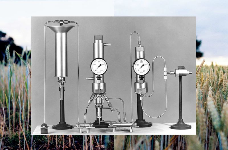 © Crystal Bennes - Image from the We Eat the Earth photography project