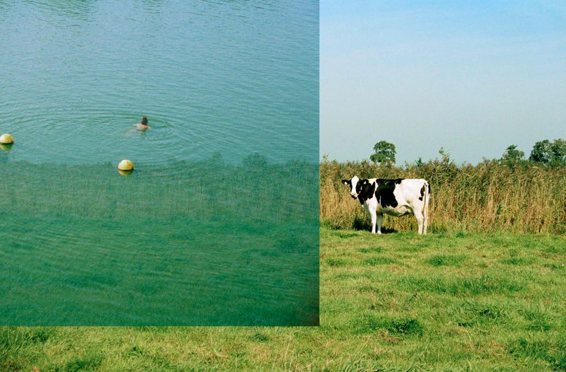 © Crystal Bennes - Image from the We Eat the Earth photography project