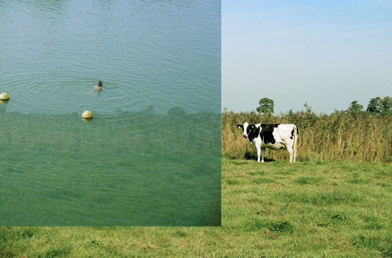 © Crystal Bennes - Image from the We Eat the Earth photography project