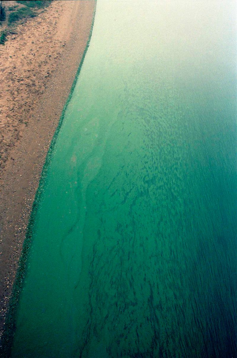 © Crystal Bennes - Image from the We Eat the Earth photography project