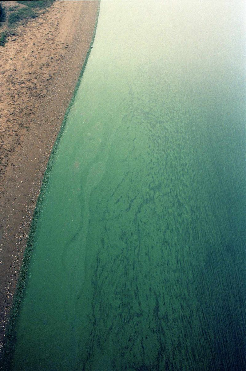 © Crystal Bennes - Image from the We Eat the Earth photography project