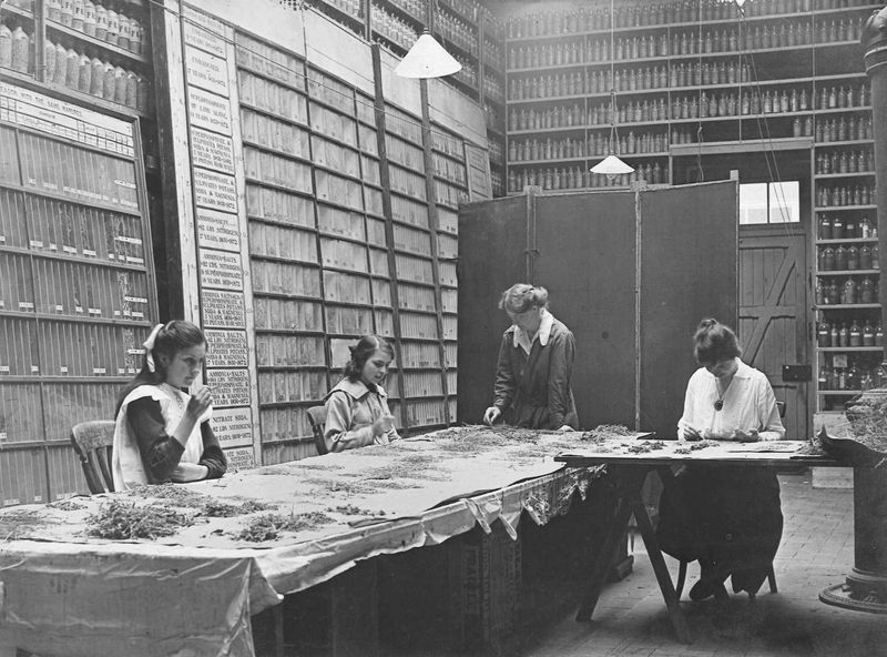 © Crystal Bennes - Image from the We Eat the Earth photography project