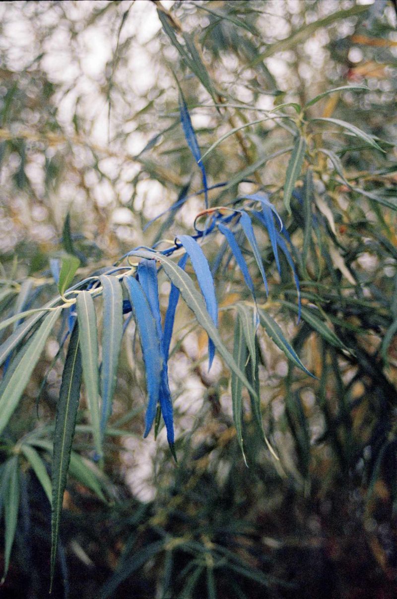 © Crystal Bennes - Image from the We Eat the Earth photography project