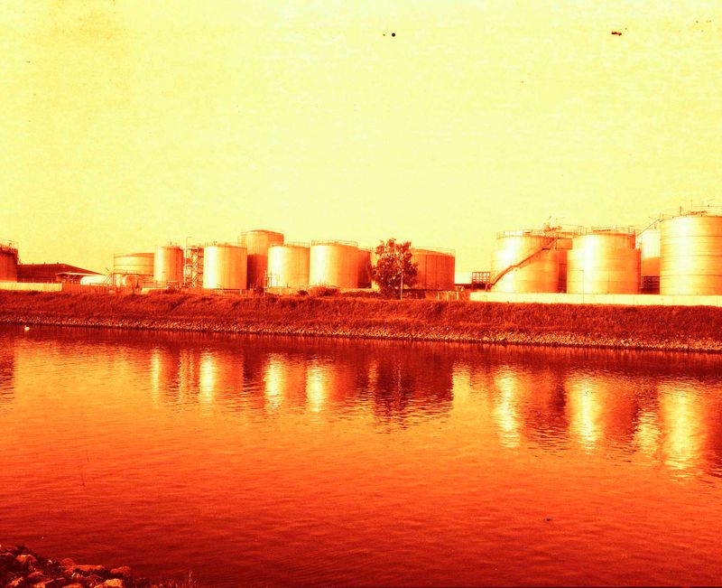 © Crystal Bennes - Image from the We Eat the Earth photography project