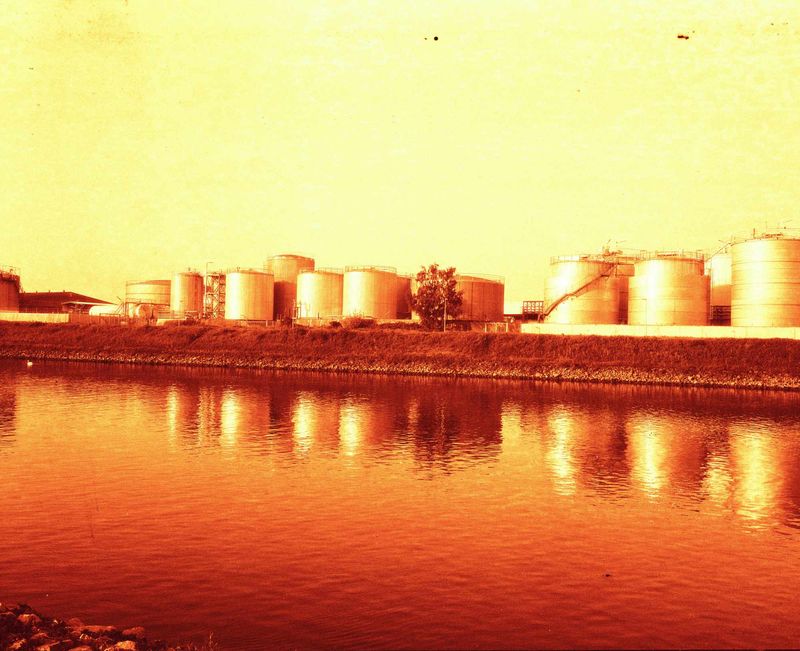 © Crystal Bennes - Image from the We Eat the Earth photography project