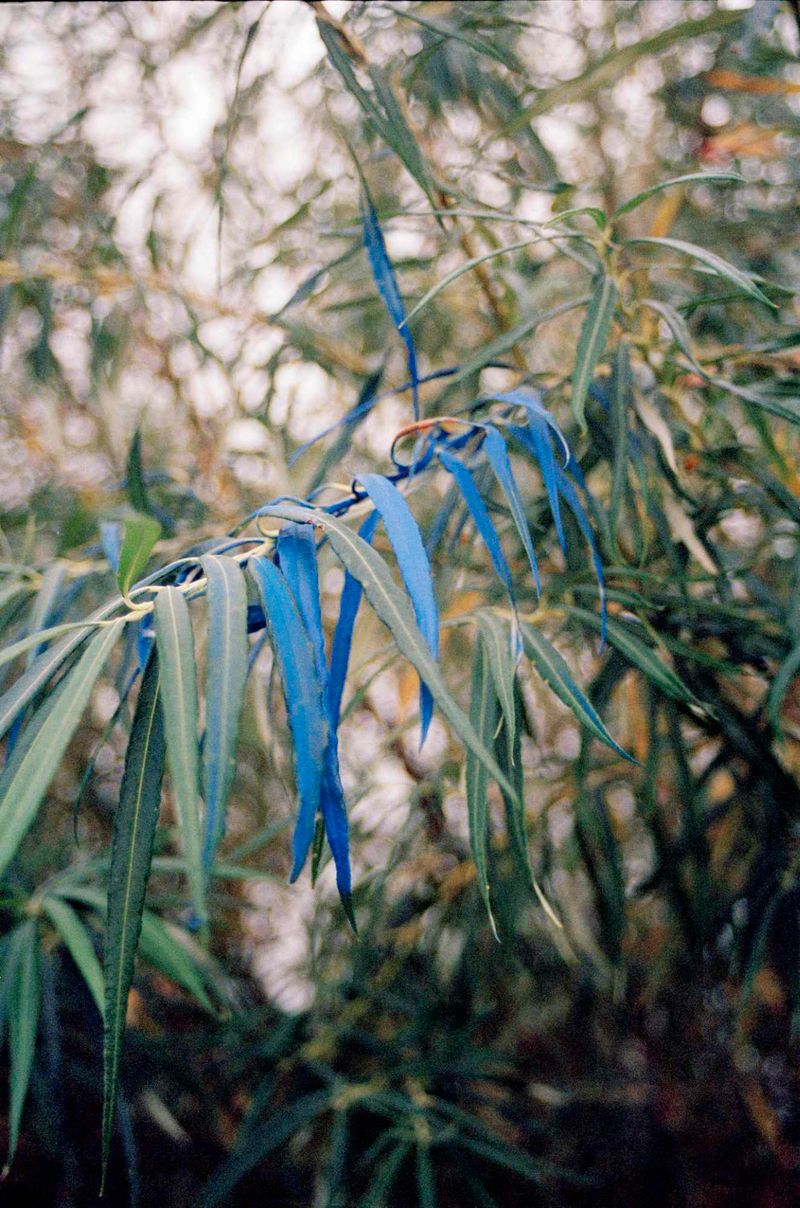 © Crystal Bennes - Image from the We Eat the Earth photography project