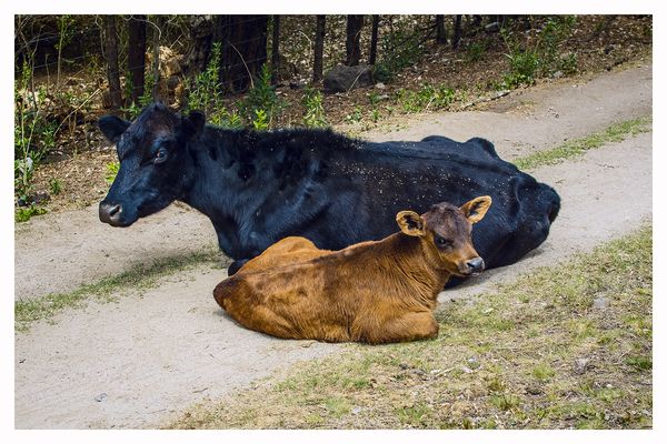 © Hugo Suárez - Image from the SANCTUARIUM photography project