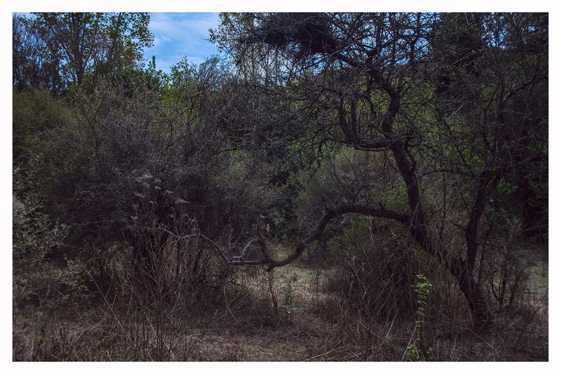 © Hugo Suárez - Image from the SANCTUARIUM photography project