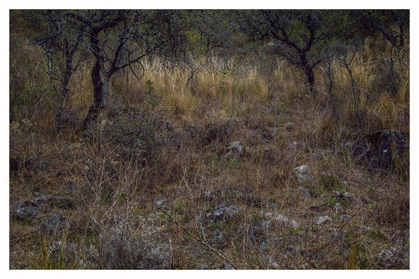 © Hugo Suárez - Image from the SANCTUARIUM photography project
