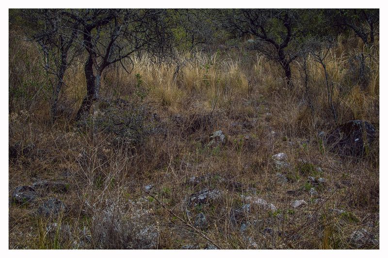 © Hugo Suárez - Image from the SANCTUARIUM photography project