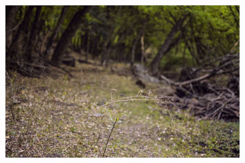 © Hugo Suárez - Image from the SANCTUARIUM photography project