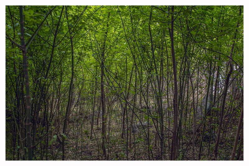 © Hugo Suárez - Image from the SANCTUARIUM photography project