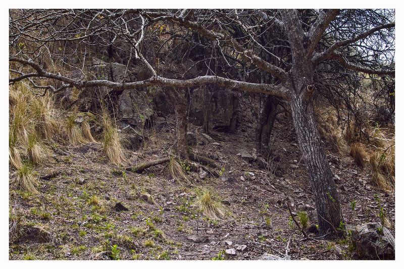 © Hugo Suárez - Image from the SANCTUARIUM photography project