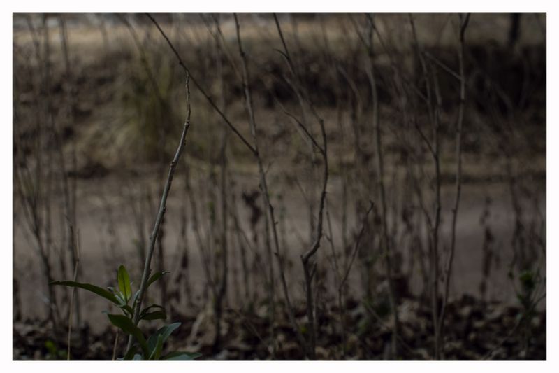 © Hugo Suárez - Image from the SANCTUARIUM photography project