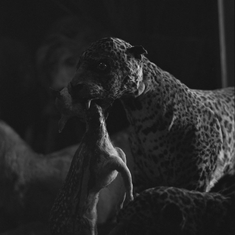 © Paula Herrera Nóbile - Botanical Garden, Asunción.