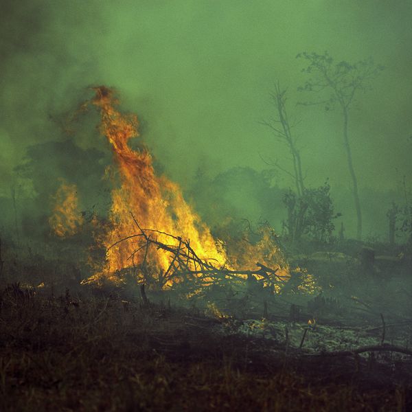 © Paula Herrera Nóbile - Quema para siembra