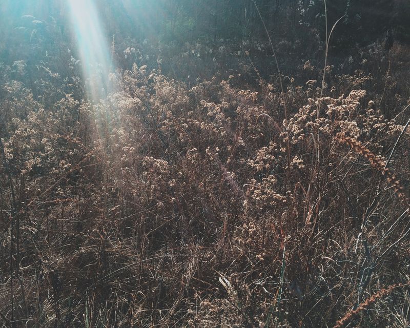 © Andrea Wise - Image from the Hysteria photography project