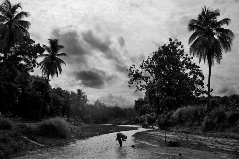 © Carlos Cazalis - Image from the Year Zero photography project