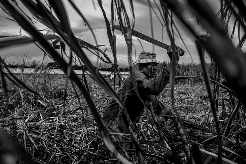 © Carlos Cazalis - Image from the Year Zero photography project