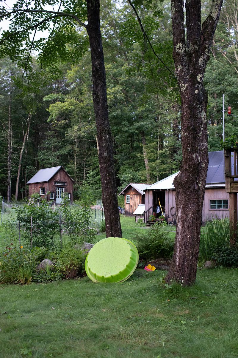 © Alice Proujansky - My Mother's Garden, Leverett, MA, 2024. Inkjet Print, 15 x 22 in.