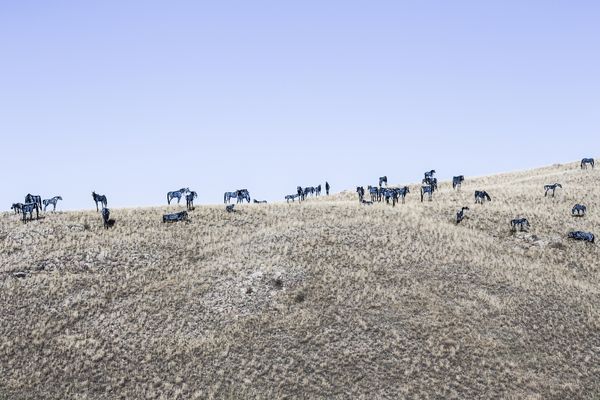 © Anka Gregorczyk - Three Forks, Montana, USA, 2014