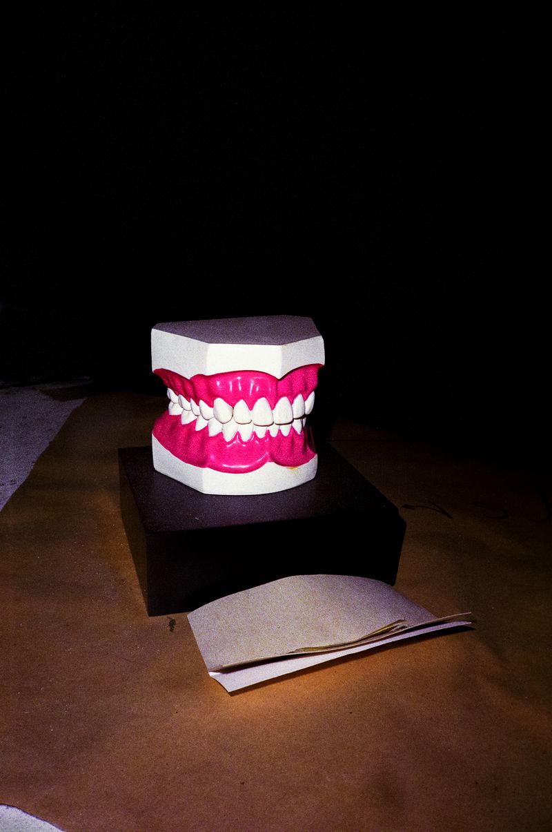 © Søren Lilholt - Untitled (denture)