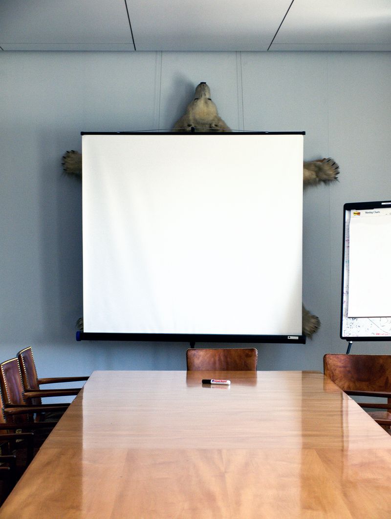 © Søren Lilholt - Untitled (bear)