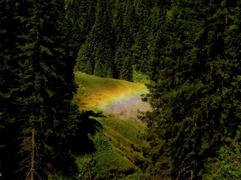 © Søren Lilholt - Untitled (spectrum)