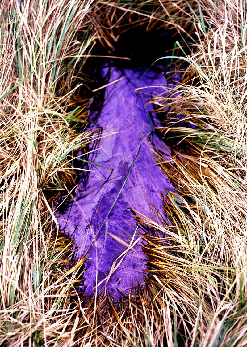 © Søren Lilholt - Untitled (emanate #2)