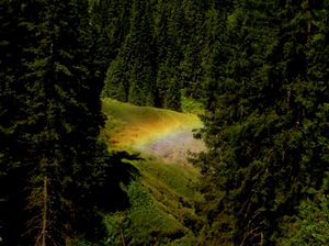 Primordial Silence (Anatomy of Melancholy)