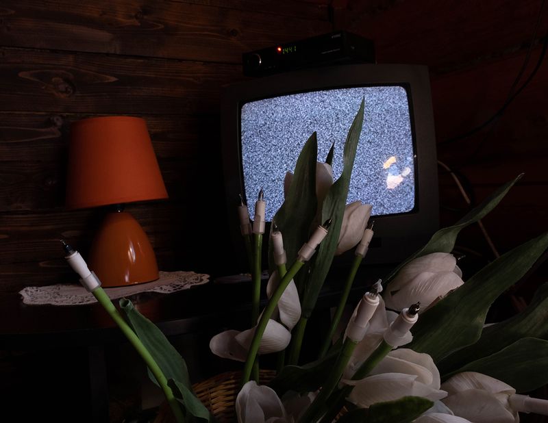 © Ira Lupu - "I consider my clients to be my friends. But I often have nightmares about meeting one of them in real life." 2020