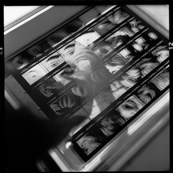 © CRISTINA SCALABRINI - Image from the Once upon a time photography project
