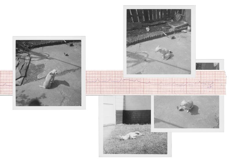 © CRISTINA SCALABRINI - Image from the PERFECT STRANGERS photography project