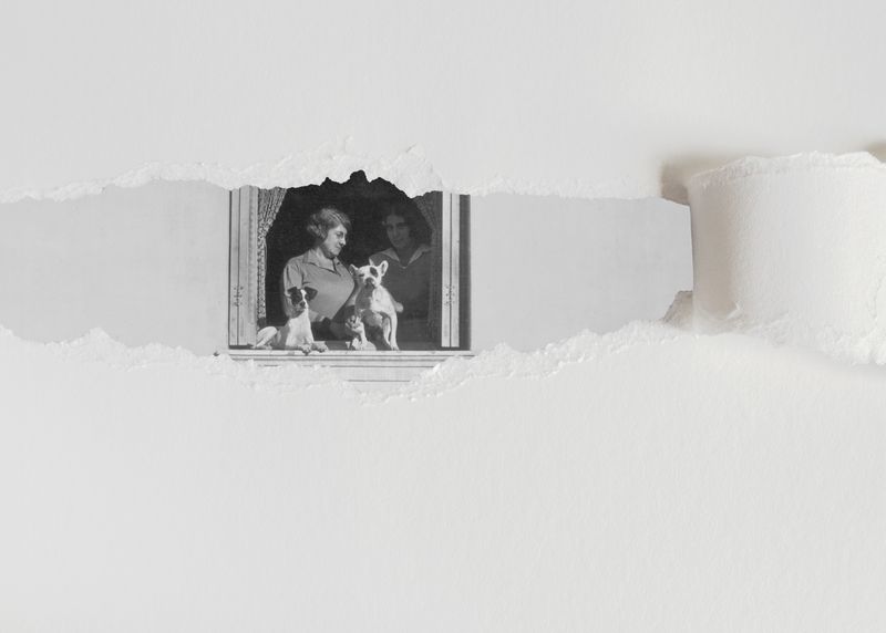 © CRISTINA SCALABRINI - Image from the PERFECT STRANGERS photography project