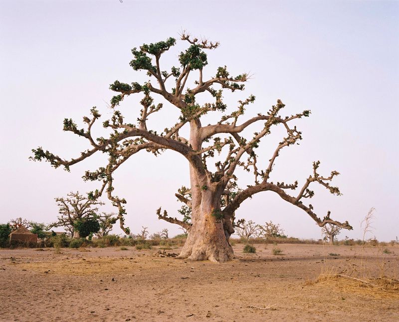 © Charlotte Yonga - Image from the Naam Na La photography project