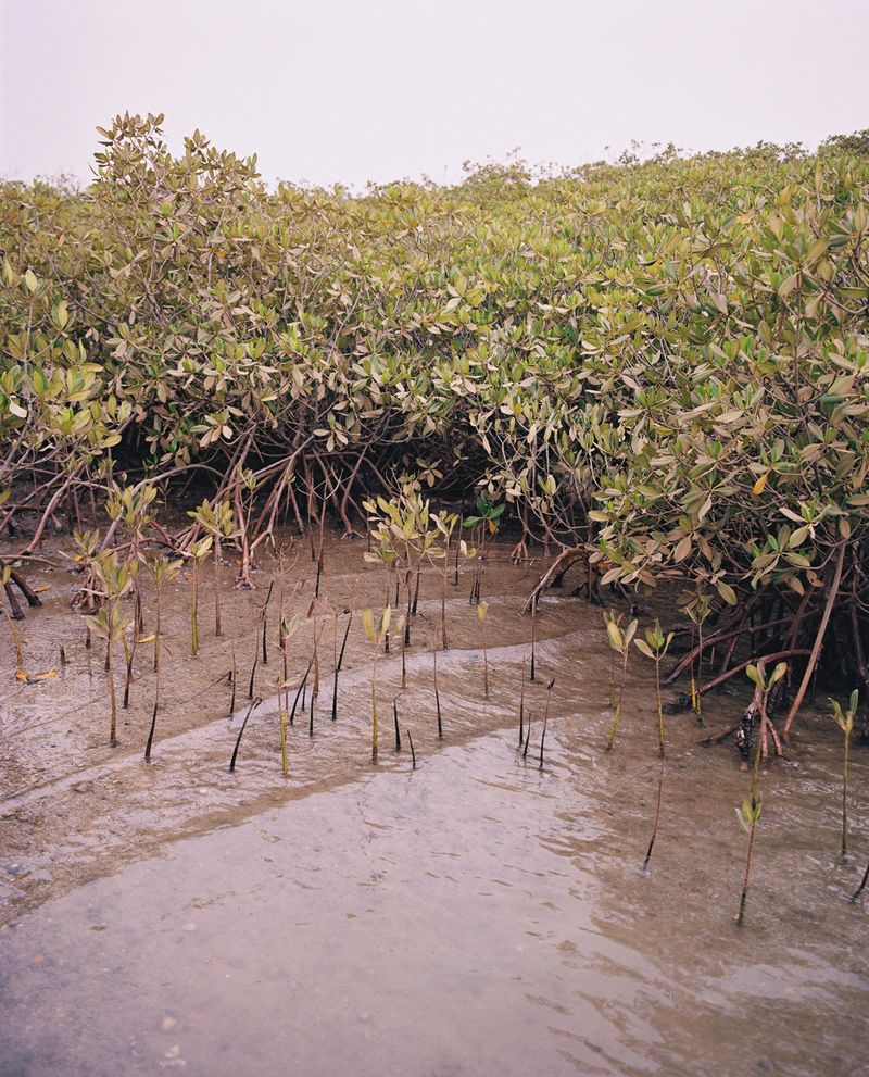 © Charlotte Yonga - Image from the Naam Na La photography project